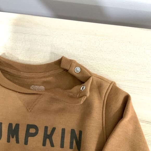 NWT!! Pumpkin Lightweight Sweatshirt Orange/Brown 6 Month Old - Picture 3 of 6